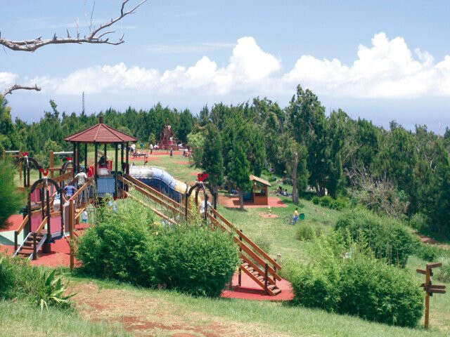 COLORADO